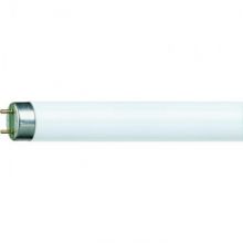Электрическая лампа Philips люминесц.TL-D 36W/33 G13 нейтральн. белый (25шт