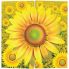 Скрапбукинг открытка Солнечный цветок АБ 23-811
